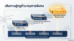 ประสบการณ์ทำงาน/การปฏิบัติหน้าที่